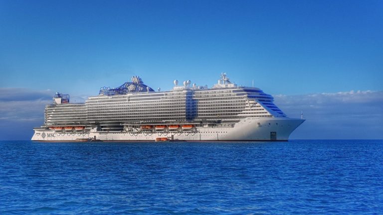 MSC Seaview Cruise Review: the “Ryanair” of Cruise Ships – The Digital ...